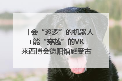 会“巡逻”的机器人+能“穿越”的VR 来西博会德阳馆感受古蜀文明与现代智造的时空对话｜西博视界