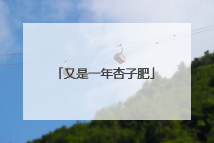 又是一年杏子肥