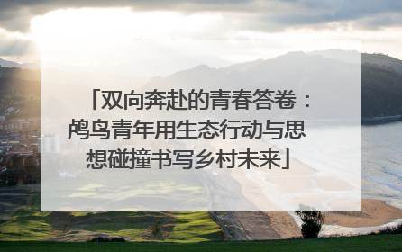 双向奔赴的青春答卷：鸬鸟青年用生态行动与思想碰撞书写乡村未来
