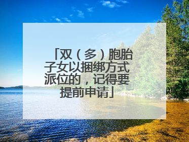 双（多）胞胎子女以捆绑方式派位的，记得要提前申请