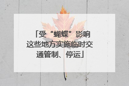 受“蝴蝶”影响 这些地方实施临时交通管制、停运