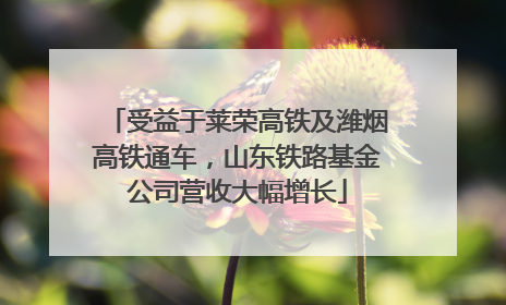 受益于莱荣高铁及潍烟高铁通车，山东铁路基金公司营收大幅增长