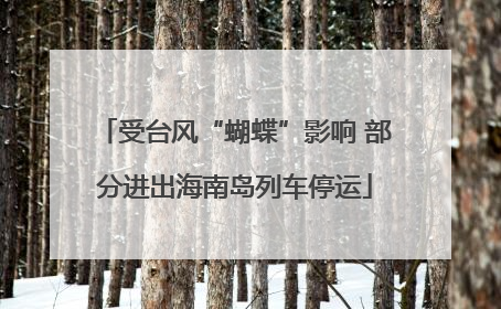 受台风“蝴蝶”影响 部分进出海南岛列车停运