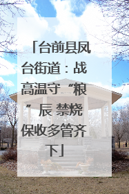 台前县凤台街道：战高温守“粮”辰 禁烧保收多管齐下