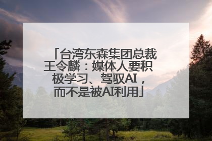 台湾东森集团总裁王令麟：媒体人要积极学习、驾驭AI，而不是被AI利用