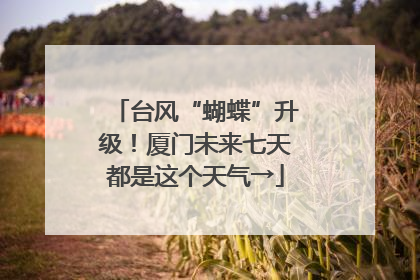 台风“蝴蝶”升级！厦门未来七天都是这个天气→