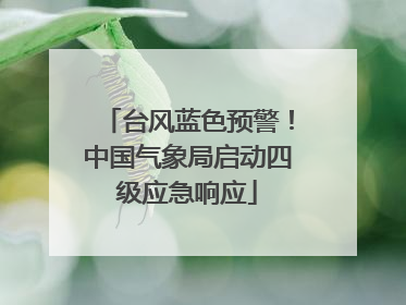 台风蓝色预警！中国气象局启动四级应急响应