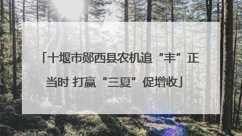 十堰市郧西县农机追“丰”正当时 打赢“三夏”促增收