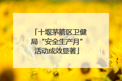 十堰茅箭区卫健局“安全生产月”活动成效显著