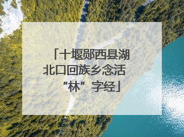 十堰郧西县湖北口回族乡念活“林”字经
