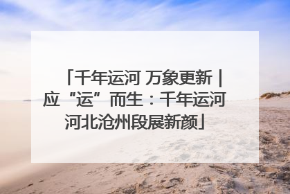 千年运河 万象更新｜应“运”而生：千年运河河北沧州段展新颜