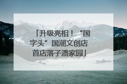 升级亮相！“国字头”国潮文创店首店落子潘家园