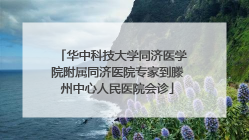 华中科技大学同济医学院附属同济医院专家到滕州中心人民医院会诊