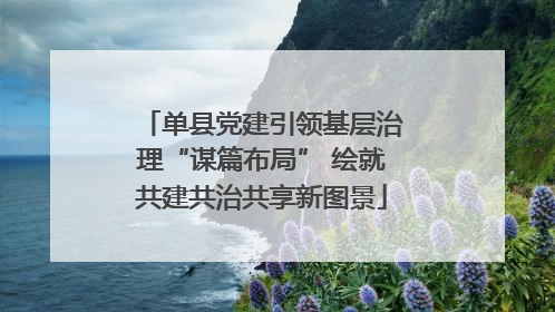 单县党建引领基层治理“谋篇布局” 绘就共建共治共享新图景