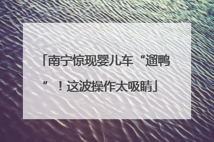 南宁惊现婴儿车“遛鸭”！这波操作太吸睛