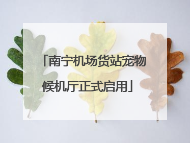 南宁机场货站宠物候机厅正式启用