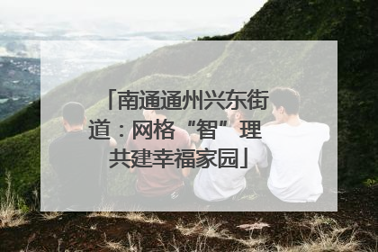南通通州兴东街道：网格“智”理 共建幸福家园