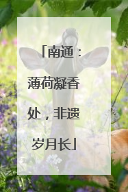 南通：薄荷凝香处，非遗岁月长