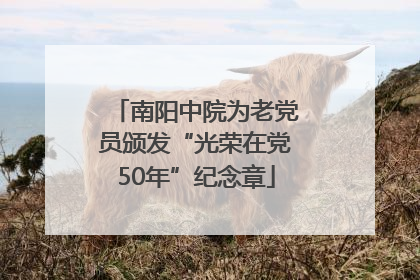 南阳中院为老党员颁发“光荣在党50年”纪念章