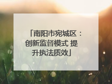 南阳市宛城区：创新监督模式 提升执法质效