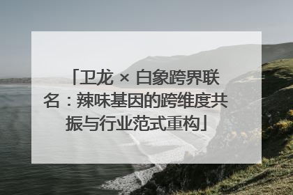 卫龙 × 白象跨界联名：辣味基因的跨维度共振与行业范式重构