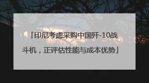 印尼考虑采购中国歼-10战斗机，正评估性能与成本优势
