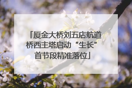 厦金大桥刘五店航道桥西主塔启动“生长” 首节段精准落位
