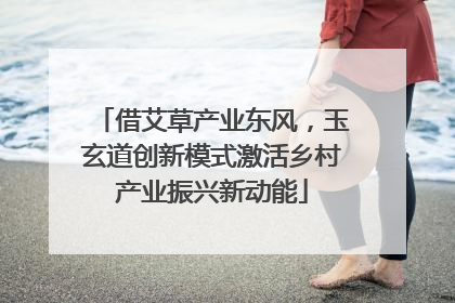 借艾草产业东风，玉玄道创新模式激活乡村产业振兴新动能