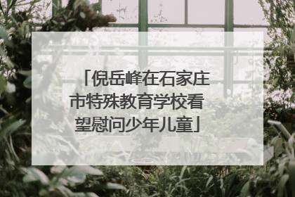 倪岳峰在石家庄市特殊教育学校看望慰问少年儿童