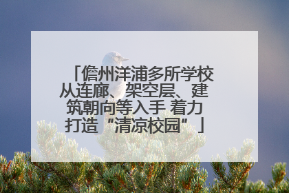 儋州洋浦多所学校从连廊、架空层、建筑朝向等入手 着力打造“清凉校园”