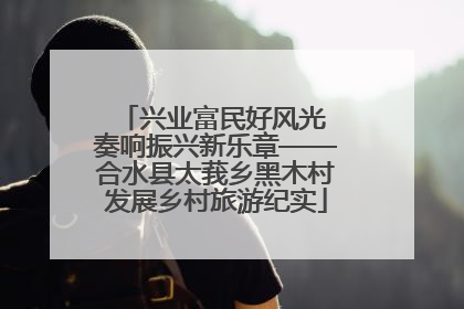 兴业富民好风光 奏响振兴新乐章——合水县太莪乡黑木村发展乡村旅游纪实