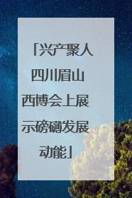 兴产聚人 四川眉山西博会上展示磅礴发展动能