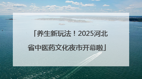 养生新玩法！2025河北省中医药文化夜市开幕啦