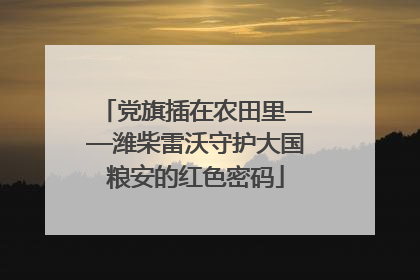 党旗插在农田里——潍柴雷沃守护大国粮安的红色密码
