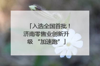 入选全国首批！济南零售业创新升级 “加速跑”
