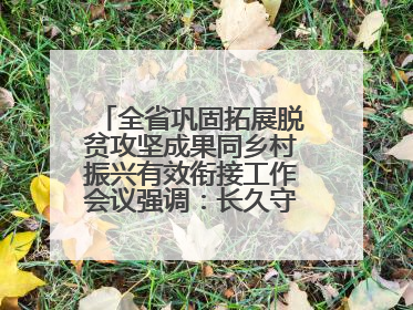 全省巩固拓展脱贫攻坚成果同乡村振兴有效衔接工作会议强调：长久守牢不发生规模性返贫致贫底线 王宁出席并讲话 王予波主持