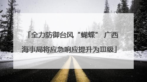 全力防御台风“蝴蝶” 广西海事局将应急响应提升为Ⅲ级