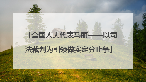 全国人大代表马丽——以司法裁判为引领做实定分止争