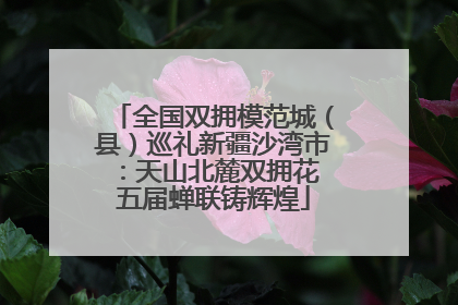 全国双拥模范城（县）巡礼新疆沙湾市：天山北麓双拥花 五届蝉联铸辉煌