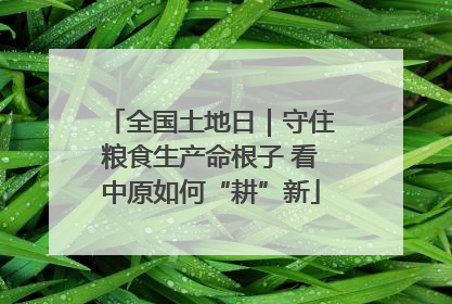 全国土地日｜守住粮食生产命根子 看中原如何“耕”新