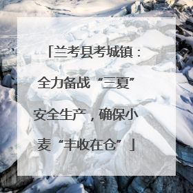 兰考县考城镇：全力备战“三夏”安全生产，确保小麦“丰收在仓”