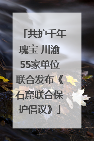 共护千年瑰宝 川渝55家单位联合发布《石窟联合保护倡议》