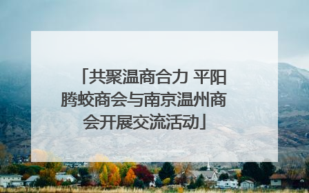 共聚温商合力 平阳腾蛟商会与南京温州商会开展交流活动