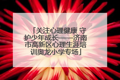 关注心理健康 守护少年成长——济南市高新区心理生涯培训奥龙小学专场