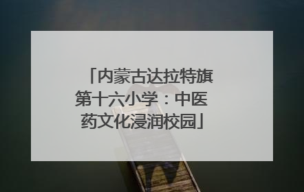 内蒙古达拉特旗第十六小学：中医药文化浸润校园