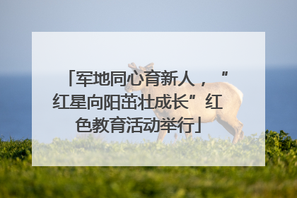 军地同心育新人，“红星向阳茁壮成长”红色教育活动举行