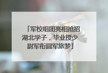 军校组团亮相抢招湖北学子，毕业授少尉军衔圆军旅梦