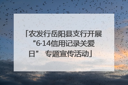 农发行岳阳县支行开展“6·14信用记录关爱日” 专题宣传活动