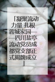 凝聚流动力量 扎根蓉城家园——四川盐亭流动党员成都党支部正式揭牌成立