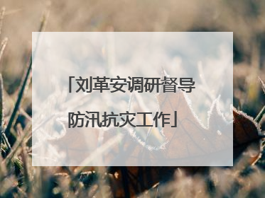刘革安调研督导防汛抗灾工作